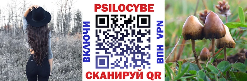 Галлюциногенные грибы мицелий  Нижняя Салда 
